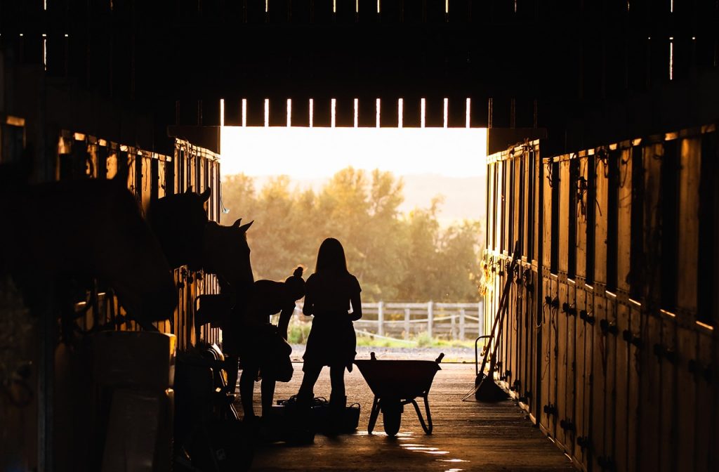 stable, girl, horses, animals, nature, barn, farm, ranch, silhouette