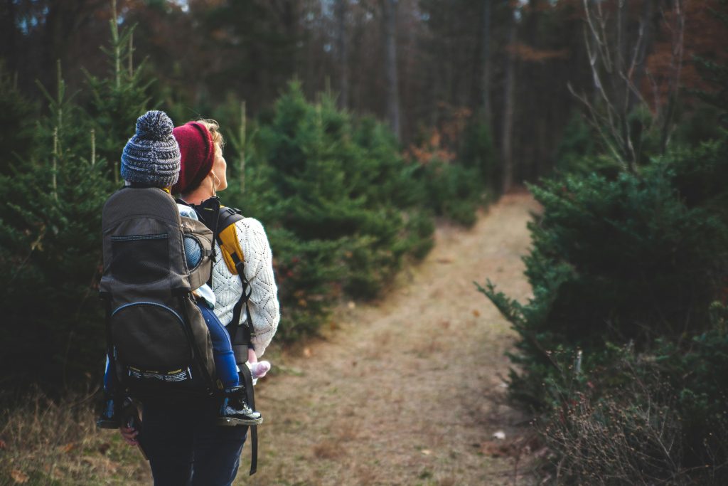 pexels photo 701016 701016 A mother with her child in a carrier backpack hiking through a forest trail on a crisp autumn day.