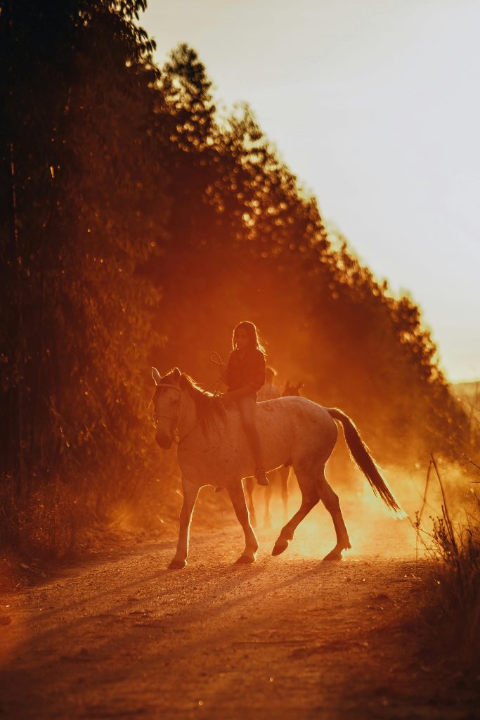 pexels photo 3764466 3764466 Unrecognizable person riding horse on rural road near lush trees during sunset in countryside
