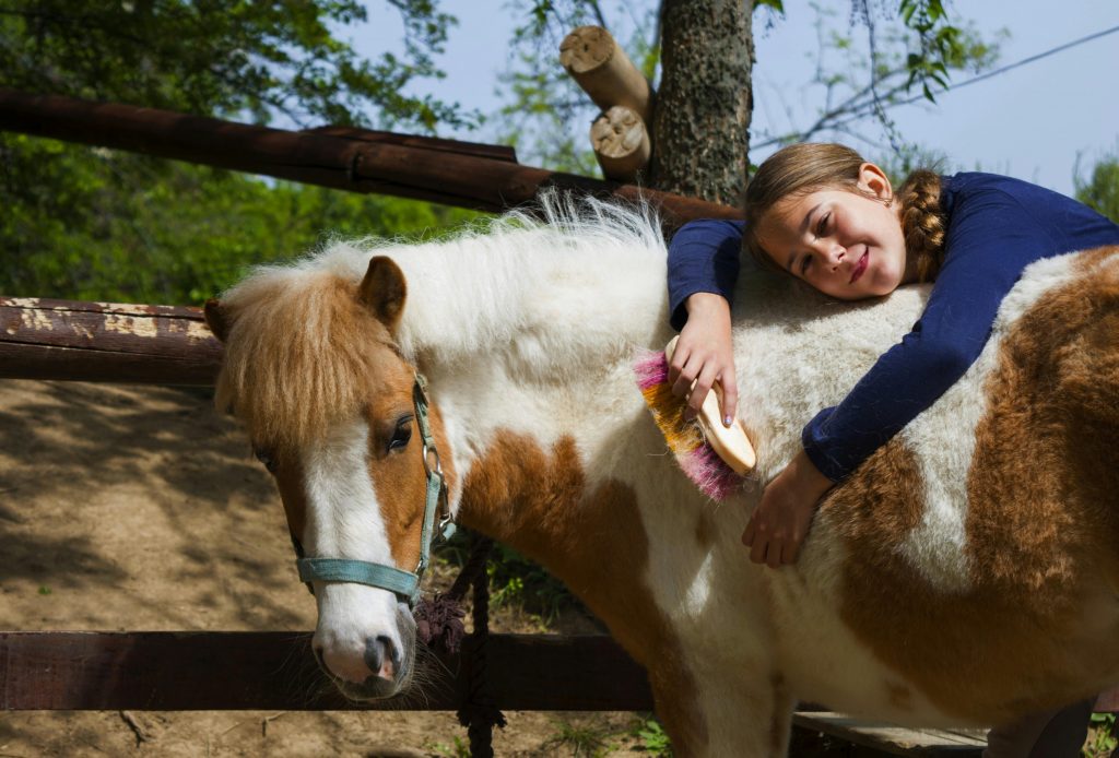 pexels photo 6199403 6199403 A smiling girl happily grooming her pony outdoors in a sunny setting.