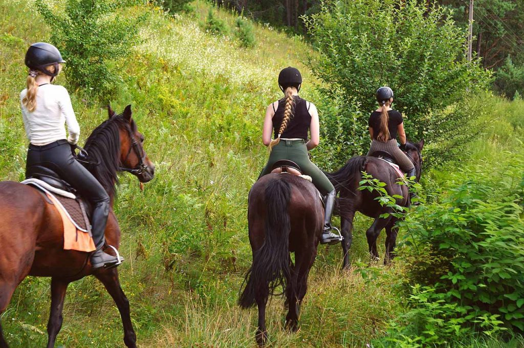 ausreiten mit pferd auf  reitwegen in gartow in urlaubsregion wendland