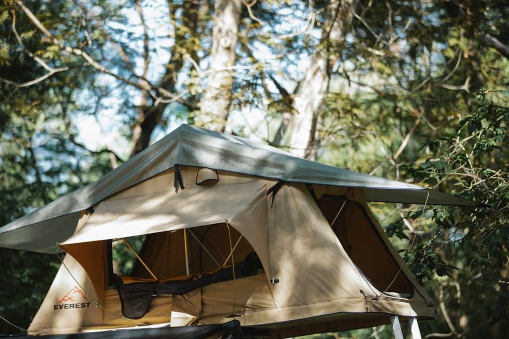 Campingzelt im Wald – Foto: Uriel Mont / Pexels Campingzelt zwischen grünen Bäumen